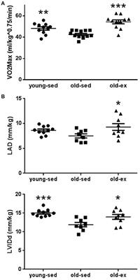 Aerobic Interval Training Prevents Age-Dependent Vulnerability to Atrial Fibrillation in Rodents